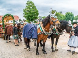 2025_05_25_festsonntag 118